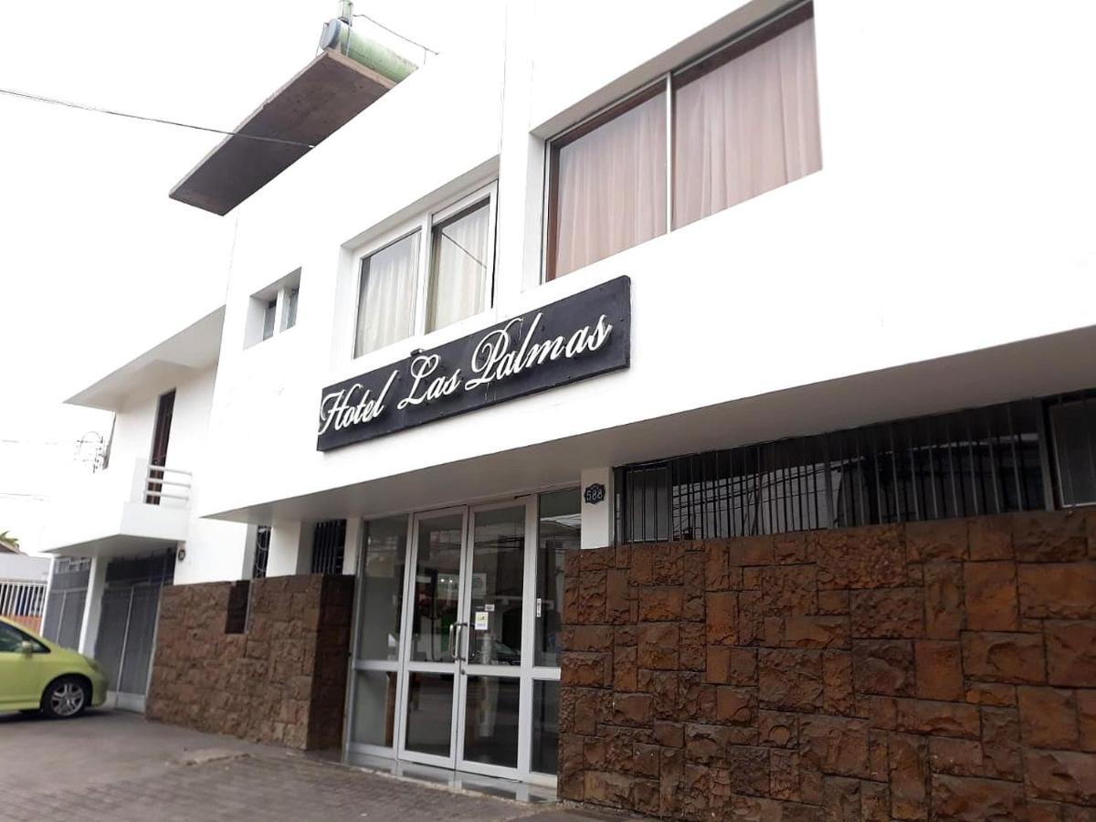 Hotel Las Palmas Arica Exteriör bild